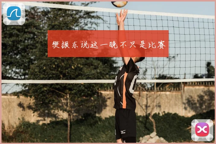 樊振东说这一晚不只是比赛