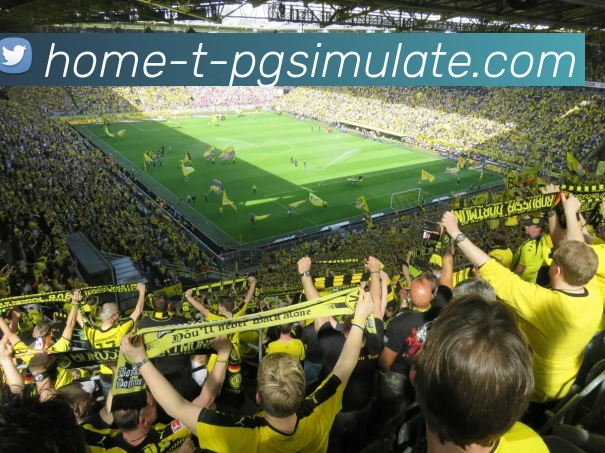 pg电子平台生态图